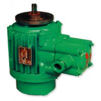 常州起升電機高品質